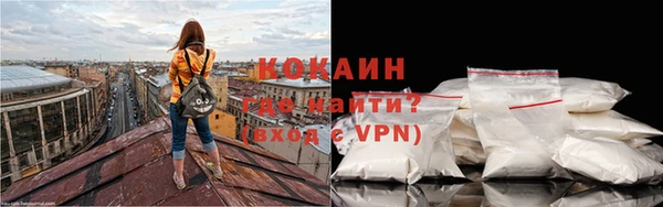 ПСИЛОЦИБИНОВЫЕ ГРИБЫ Тында