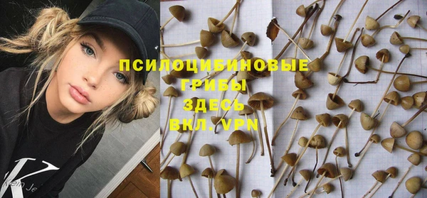 mdpv Михайлов