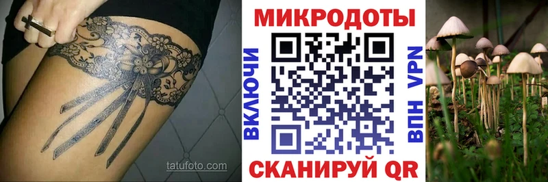 Псилоцибиновые грибы Cubensis  Харовск 